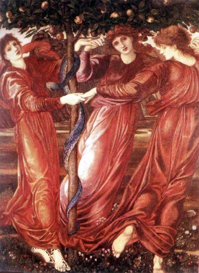 Otras Ninfas