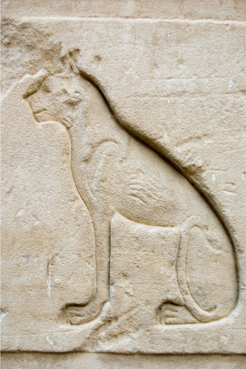 Bastet en relieve