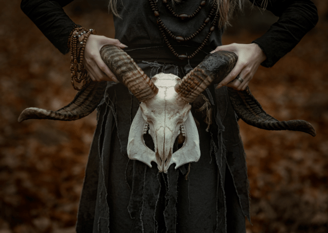 Diosa bruja Ceridwen