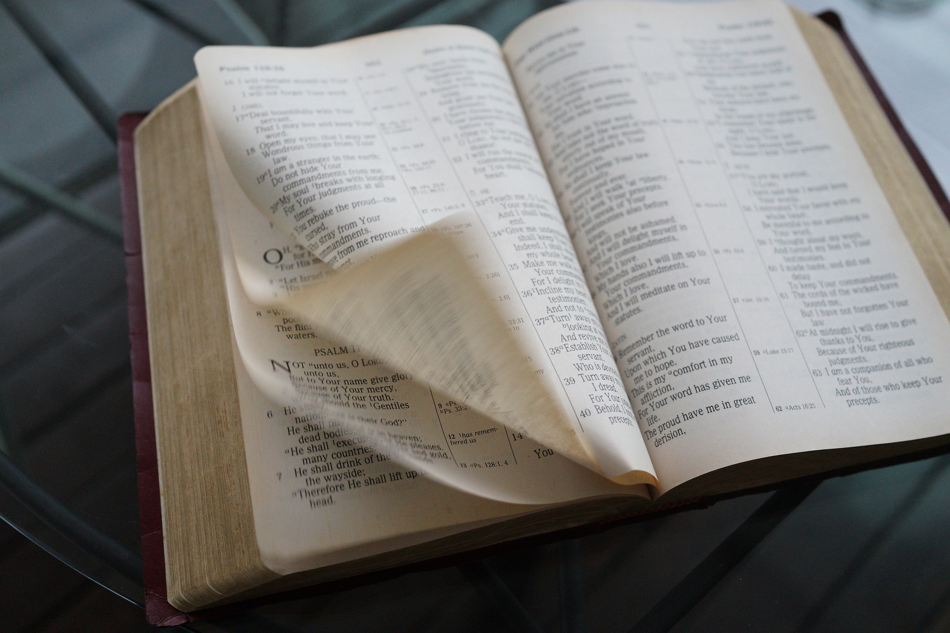 páginas de um libro da Biblia