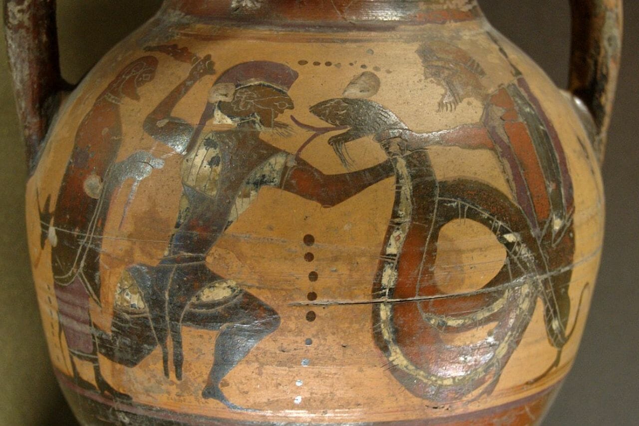 Campe o dragão feroz