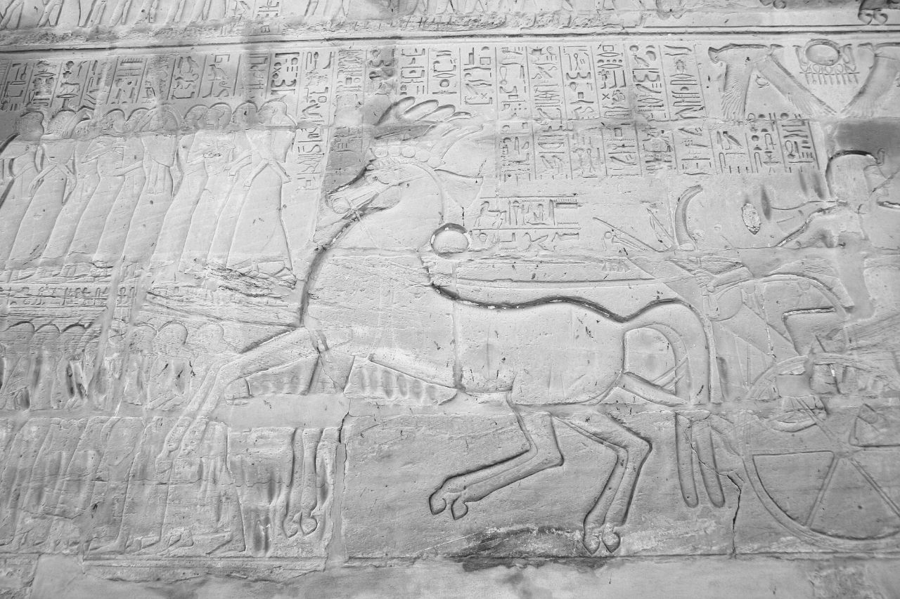 Cavalos e carros do antigo Egipto
