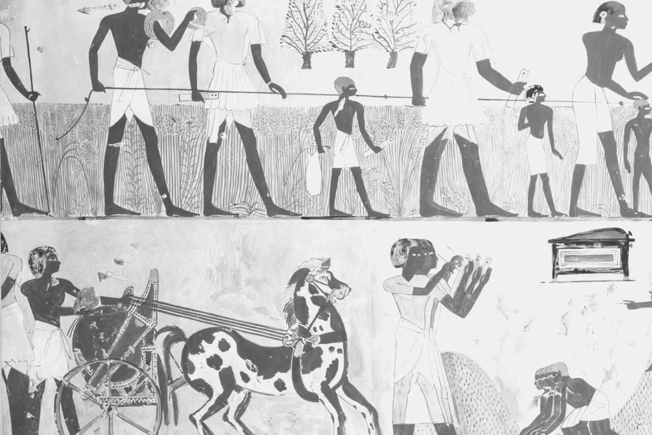 Os cavalos no antigo Egipto: como se tornaram importantes