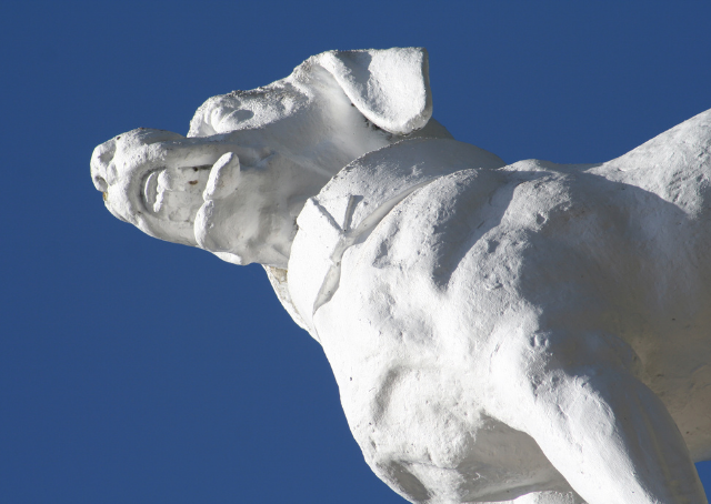 Estátua do cão de Odisseu