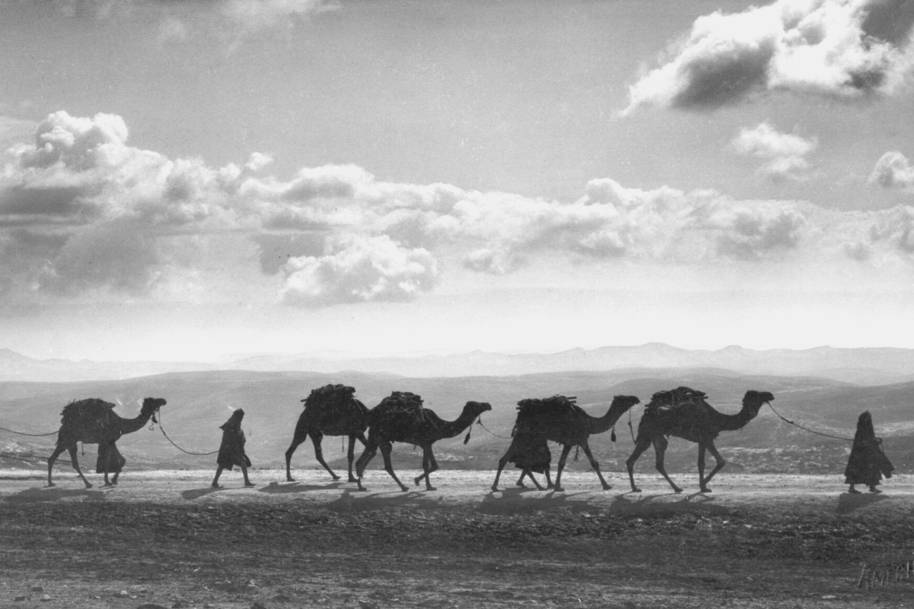 A história da Palestina: um país na encruzilhada da fé