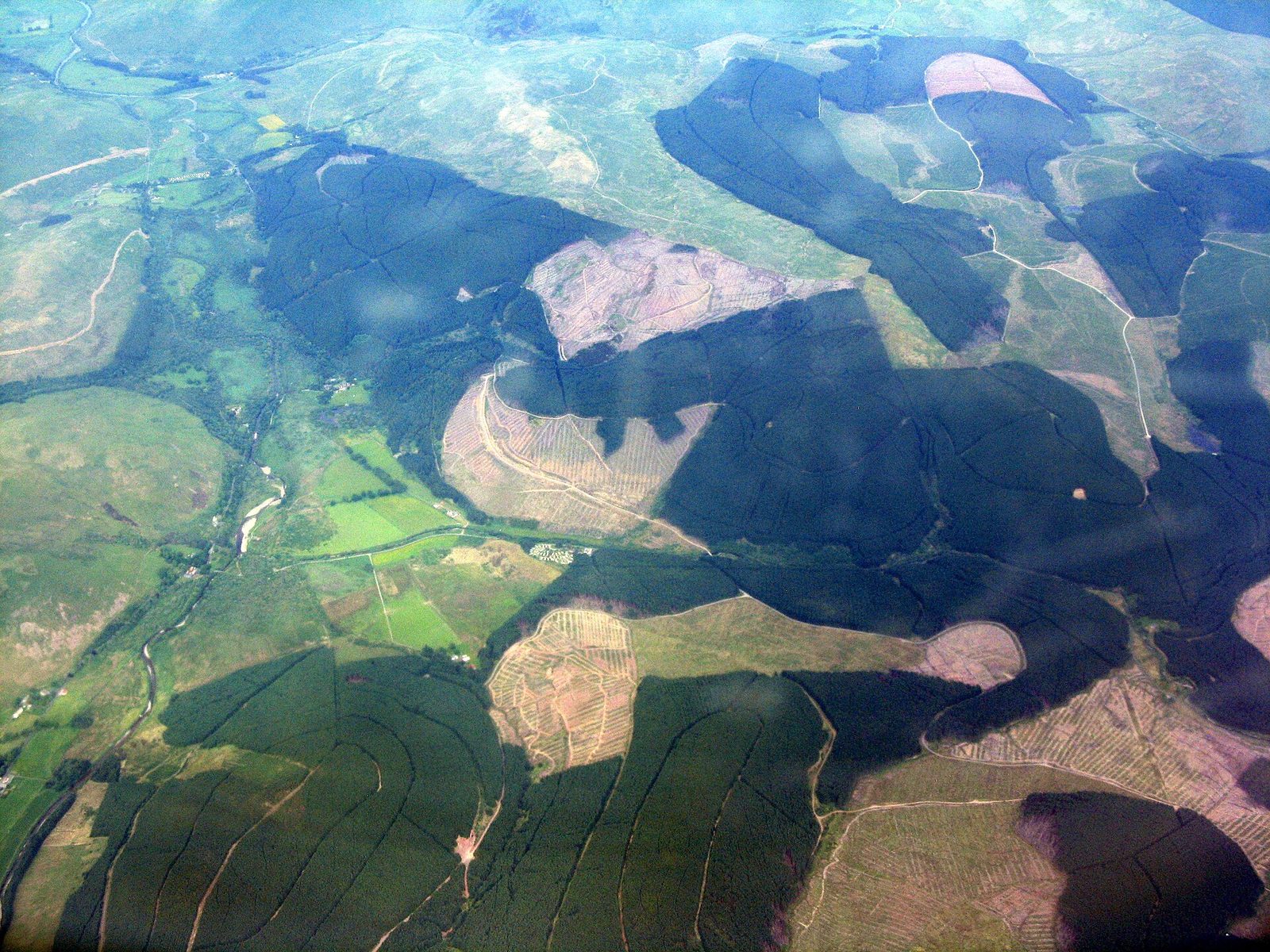 Florestas de Craik e Ettrick