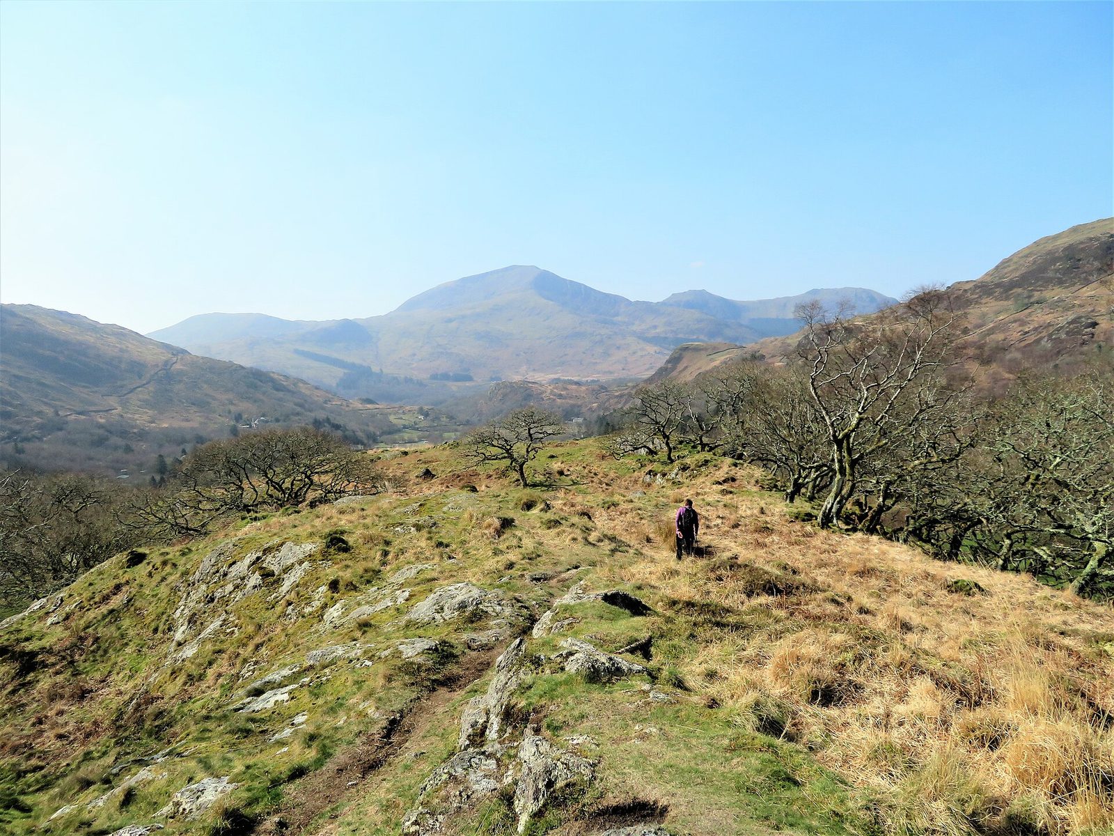 Interior de Dinas Emrys