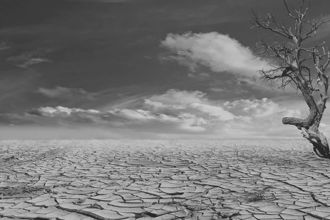 Seca do deserto
