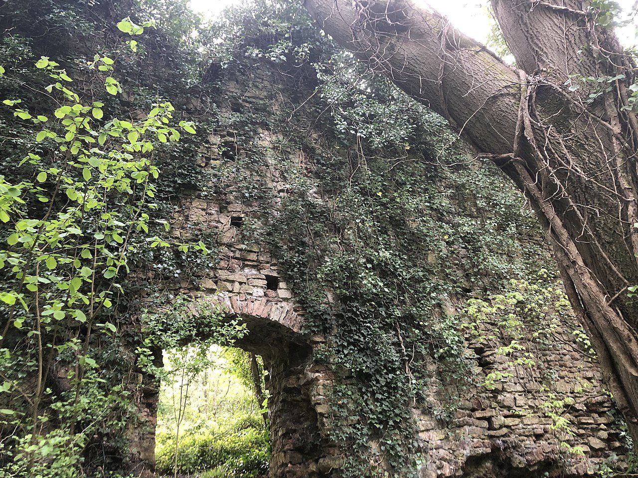 Parte das ruínas medievais de Dinas Powys