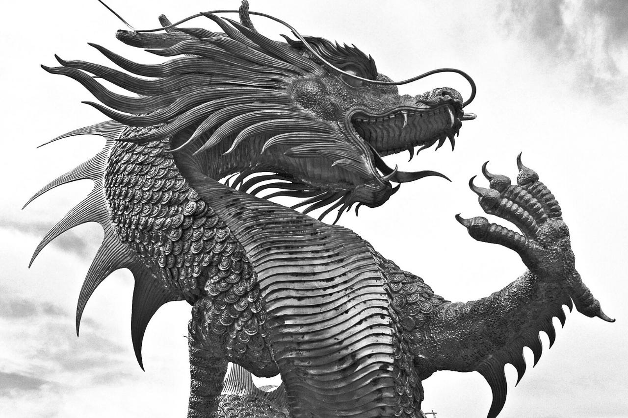 Dragão com pelagem: o conto de um lagarto voador