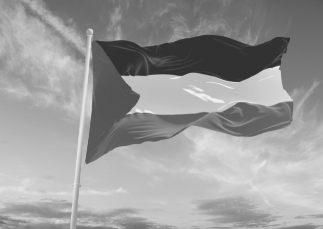 Bandeira da Palestina