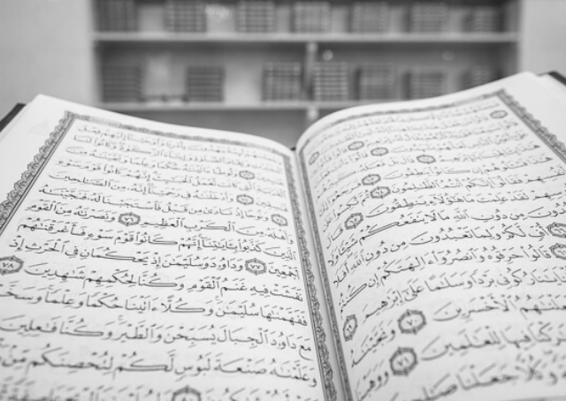 Fatwa islâmica formal