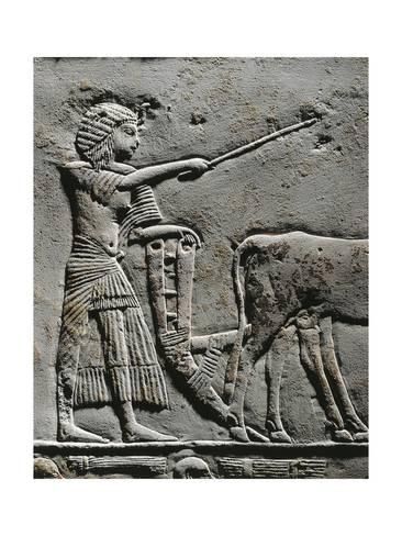 Horemheb a arar a terra nos campos de Iaru, relevo da tumba de Horemheb