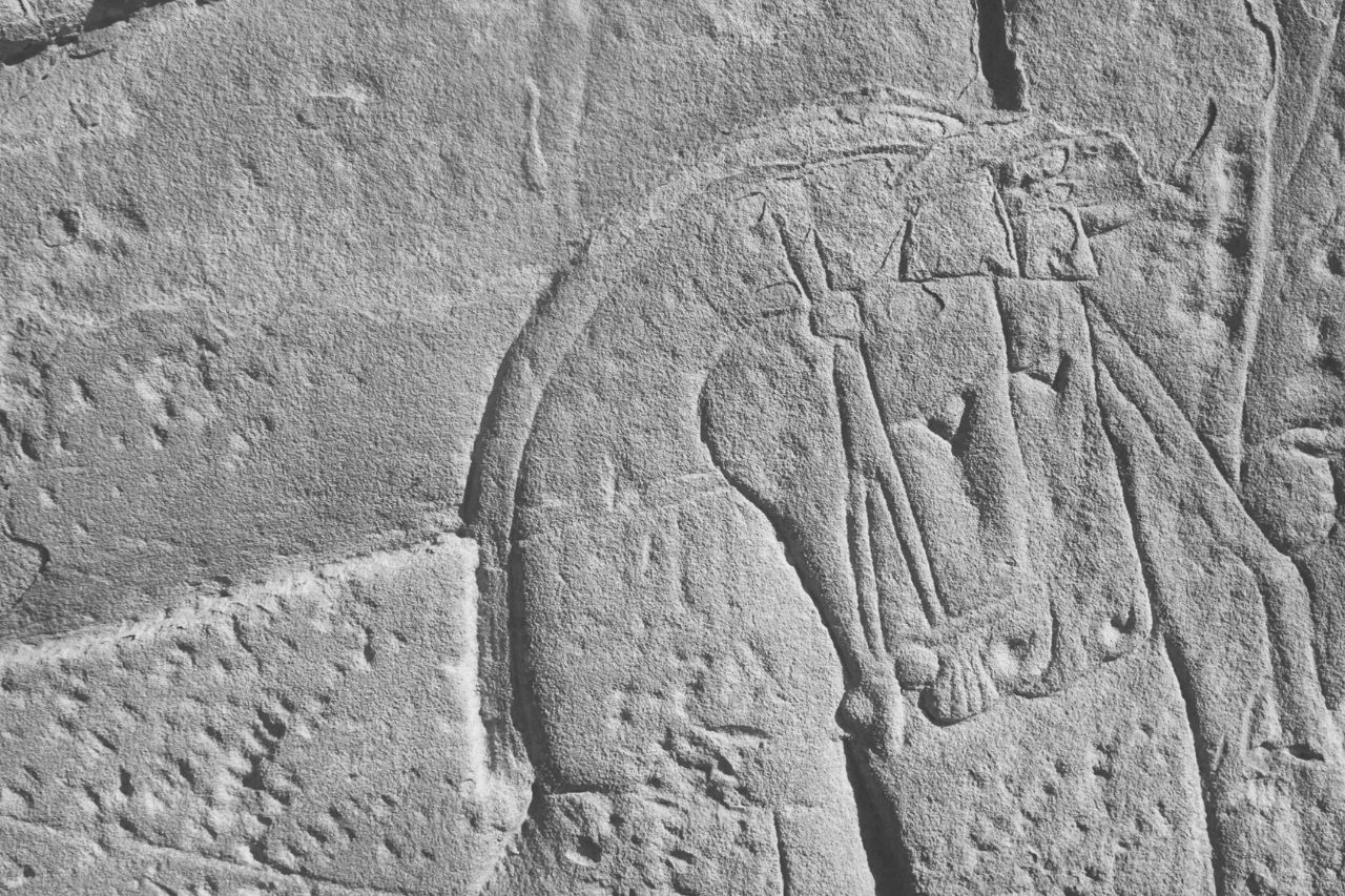 Cavalos no antigo Egipto