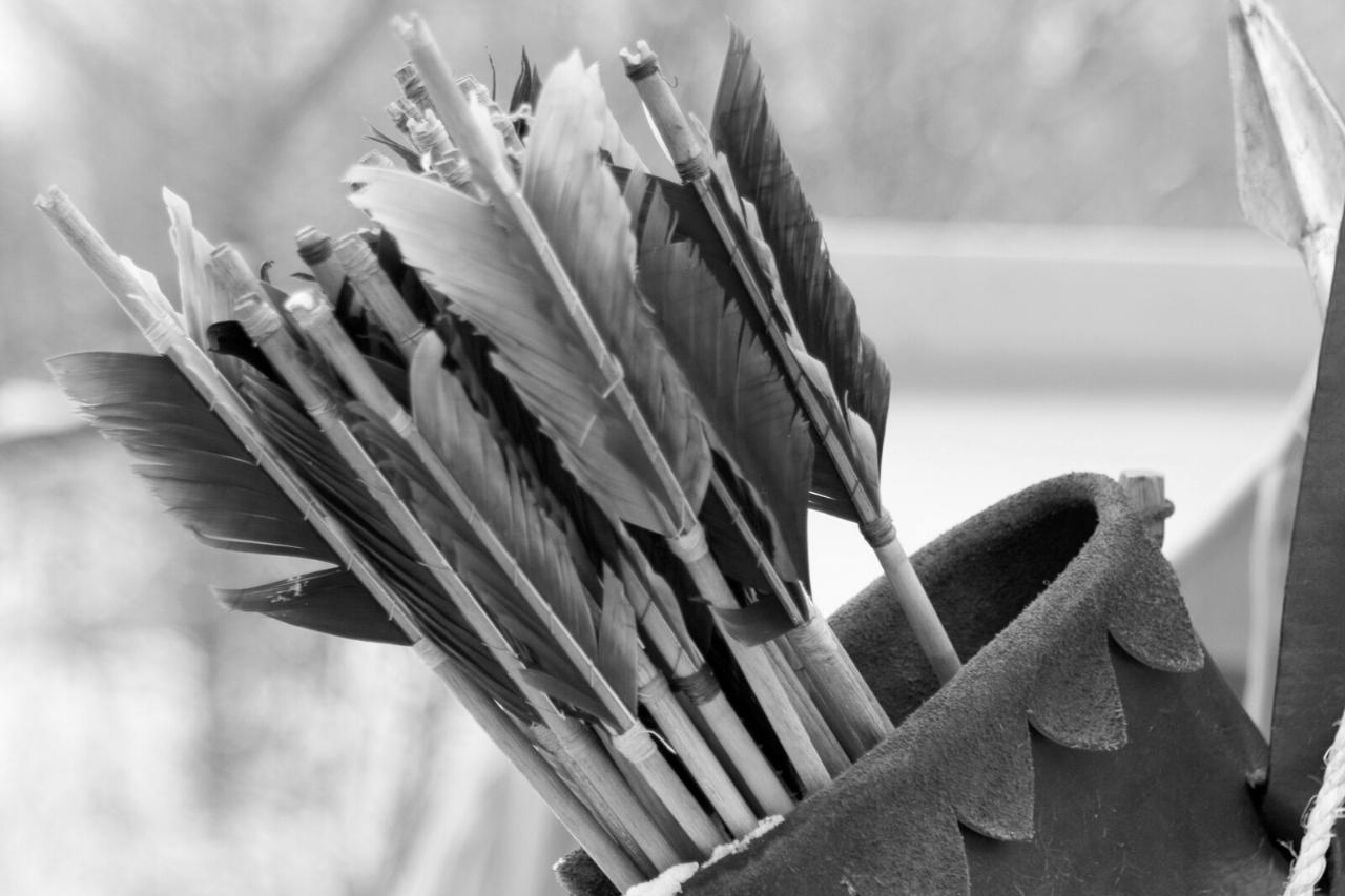 Quantas flechas numa aljava? Bases de arcos e flechas