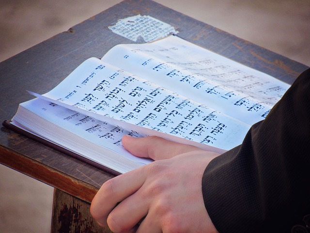 Torah escrita caraíta