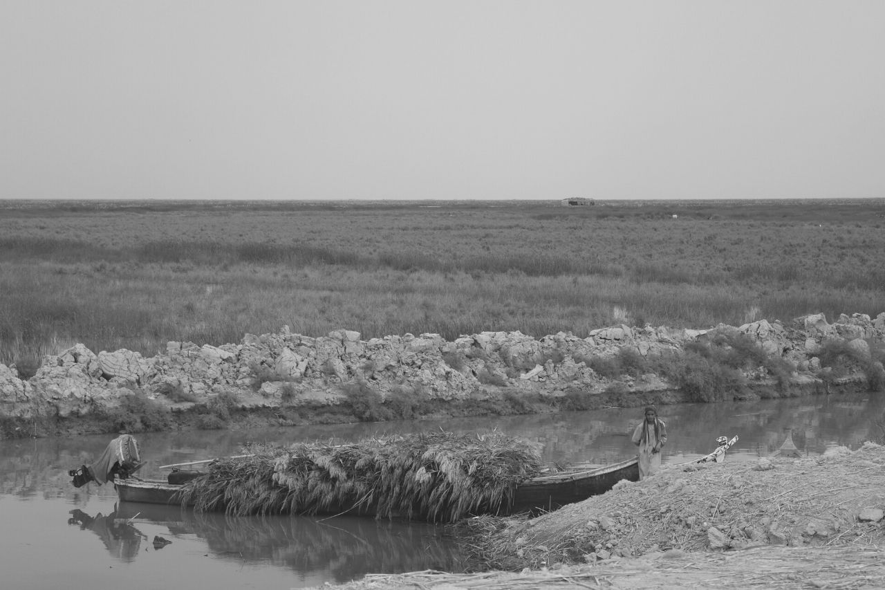 Clima mesopotâmico, agricultura e o Crescente Fértil