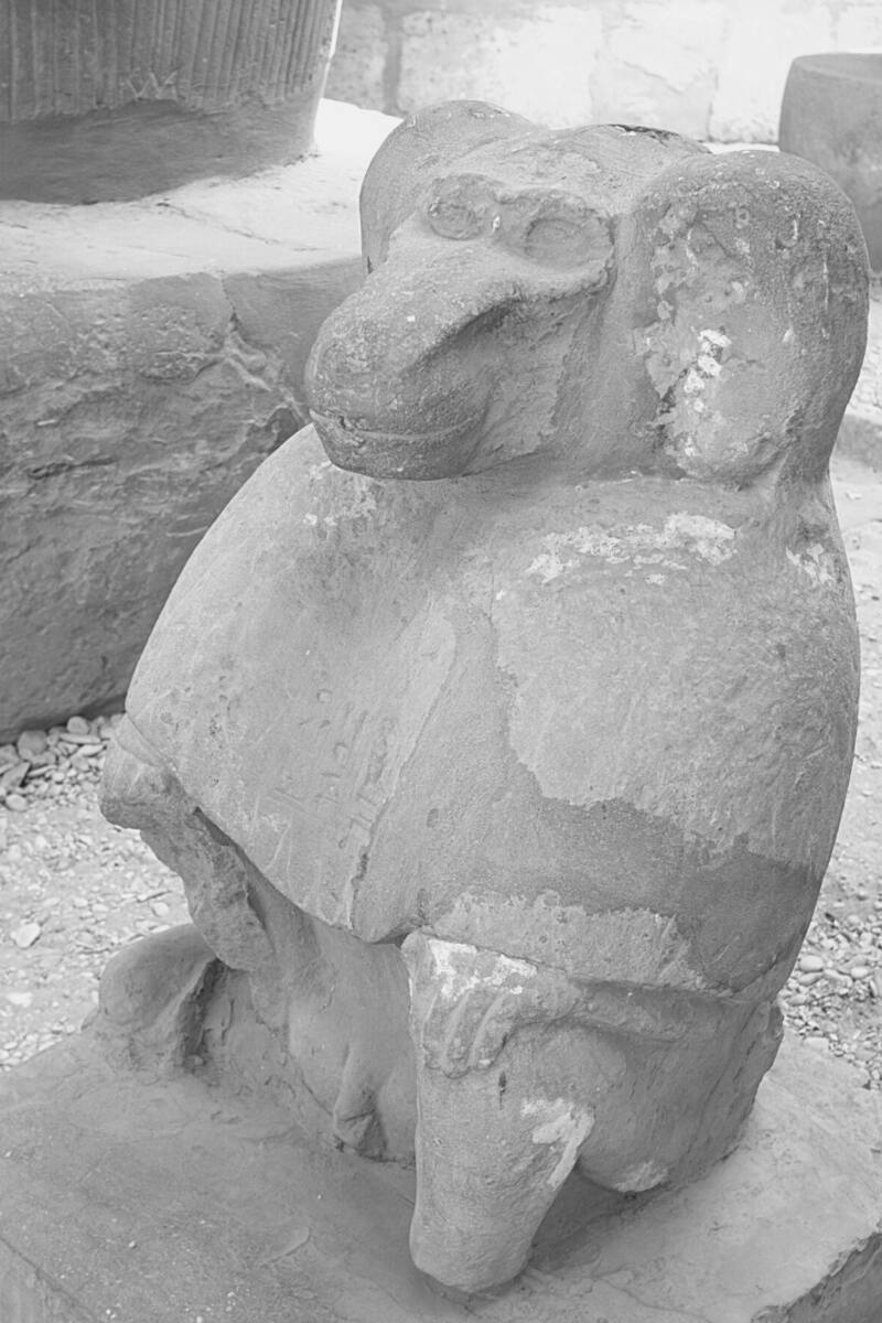 Estátua de macaco