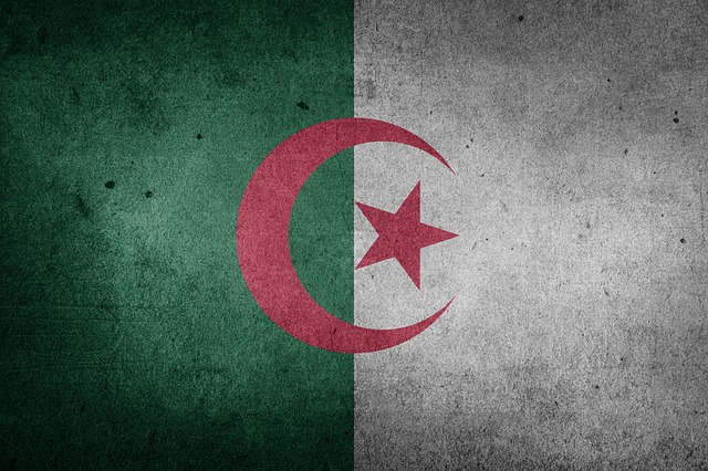 Bandeira nacional argelina