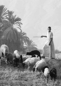 Pastor no antigo Egipto