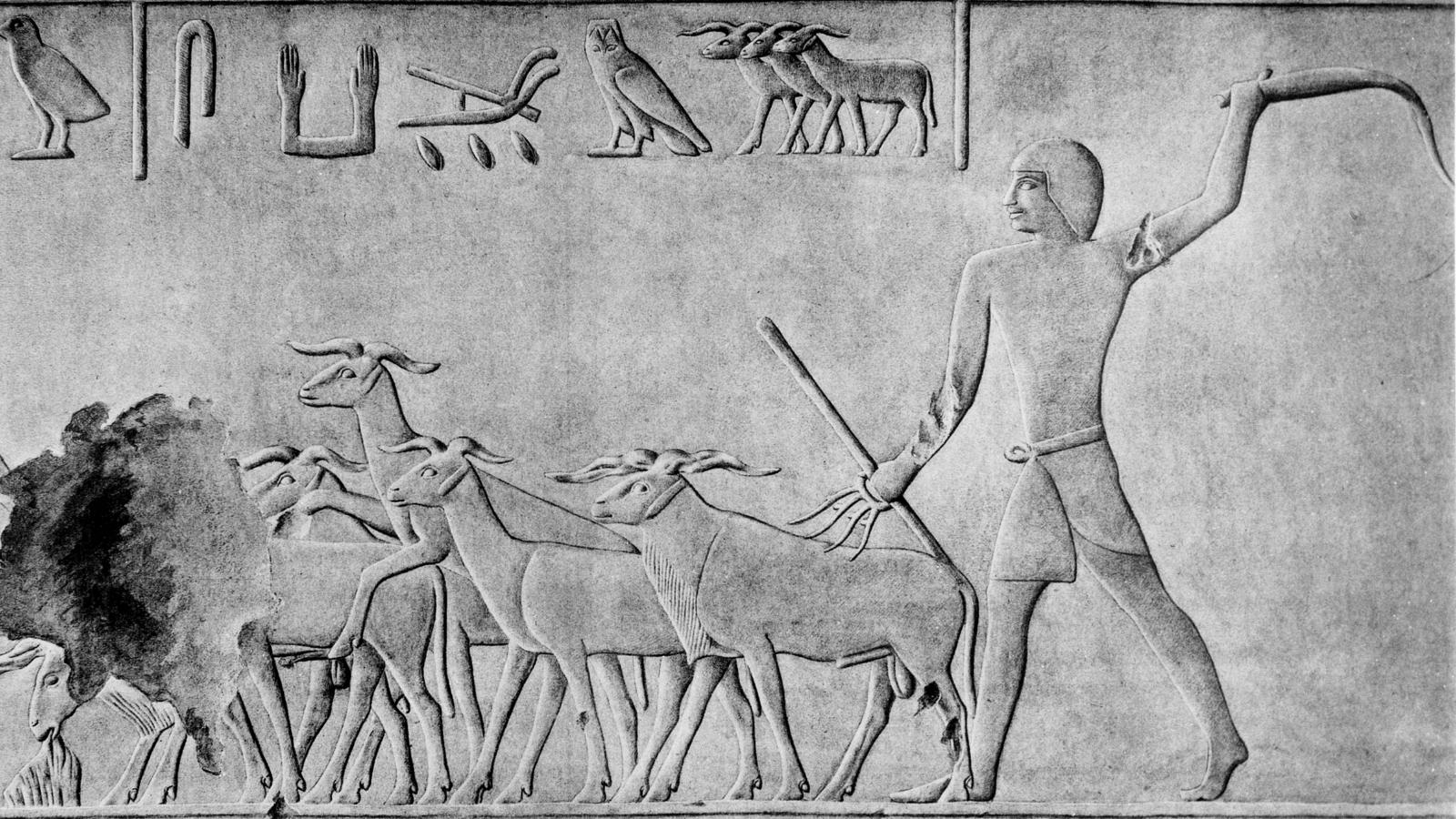 Por que eram os pastores uma abominação para o Egipto? Quatro teorias convincentes