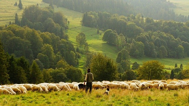 Agricultor talish