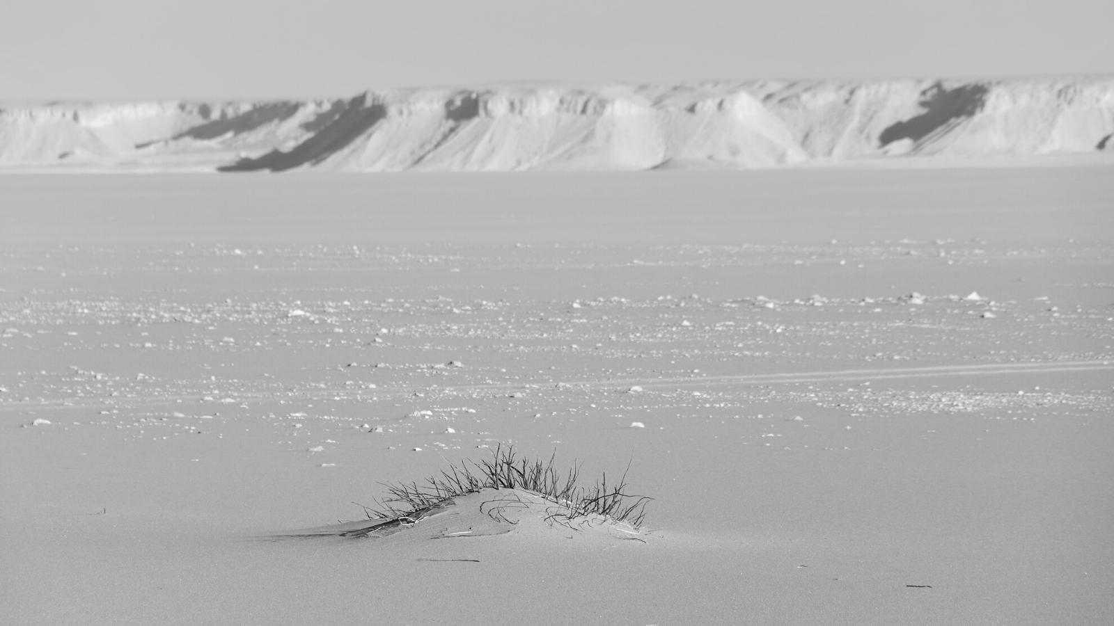 Deserto Ocidental do Egito
